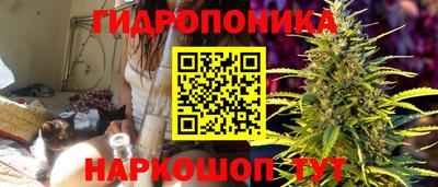 стафф Гусиноозёрск
