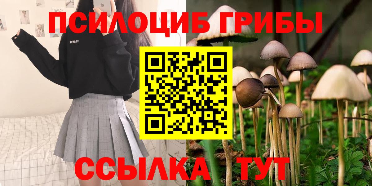 Сланцы  Псилоцибиновые грибы GOLDEN TEACHER  Вход с VPN 